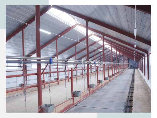 Строительство коровников в Ржеве от 617 руб.